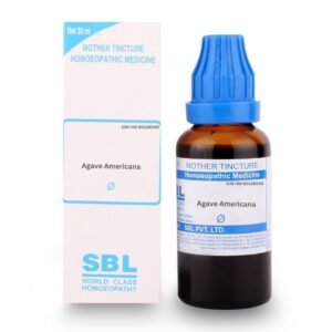 Agave Americana Mother Tincture for digestive strength and vitality