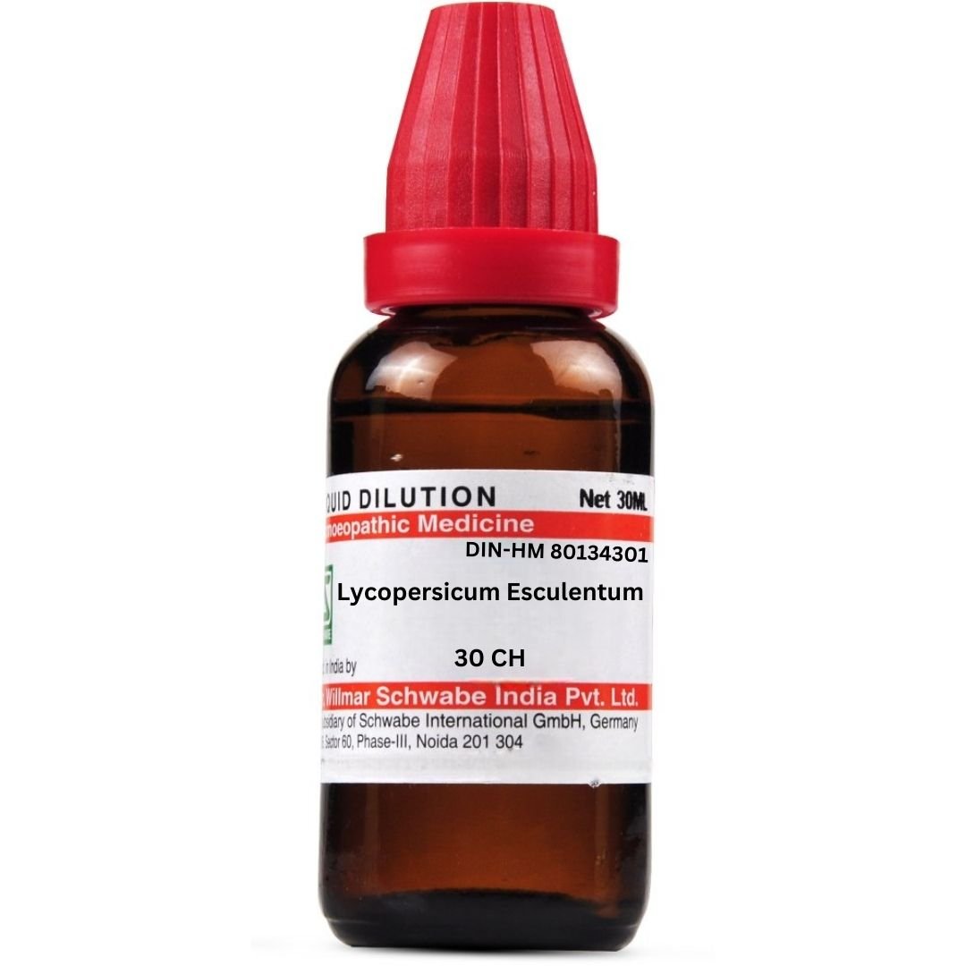 Lycopersicum Esculentum