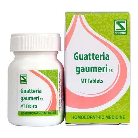 Guatteria Gaumeri 1X