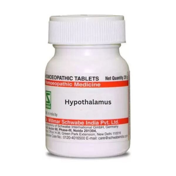 Hypothalamus