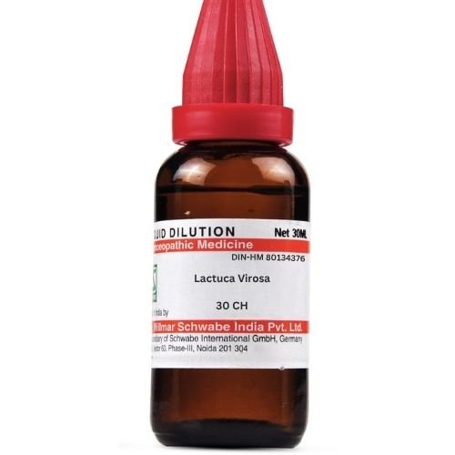 Lactuca Virosa