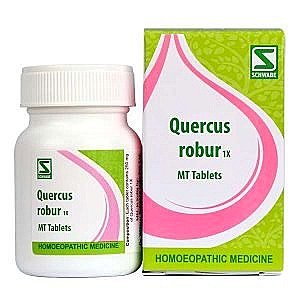 Quercus Robur 1X homeopathic medicine